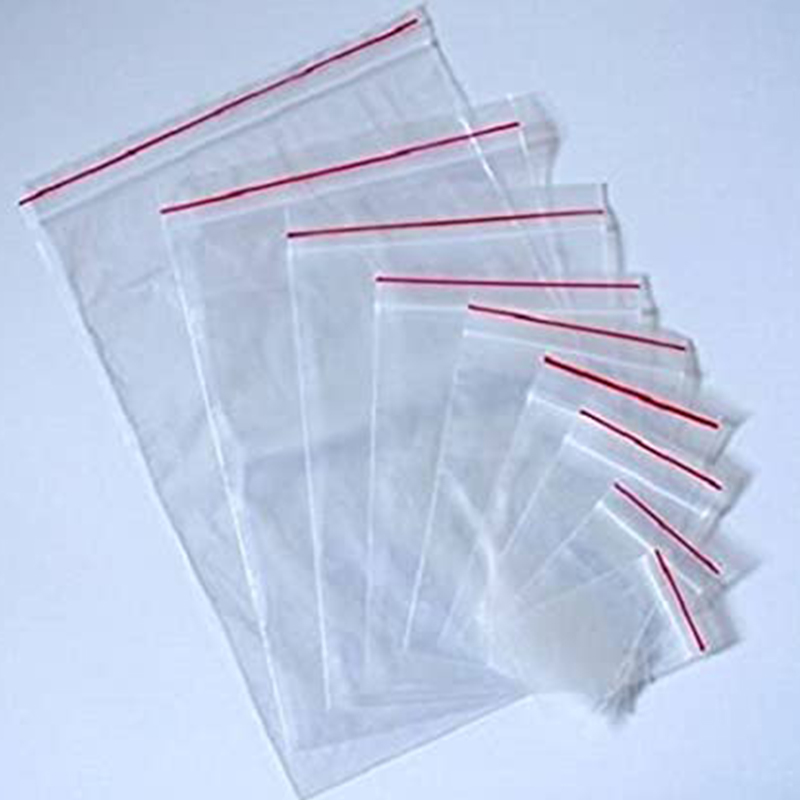 Zip-lock bag 6 "X 9"